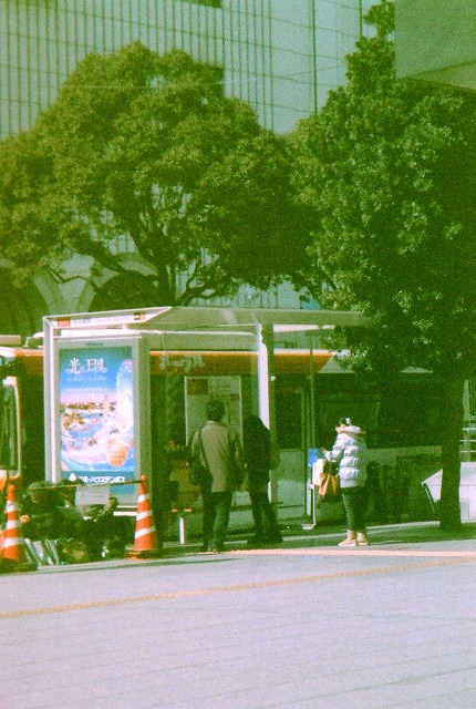 VECTIS300