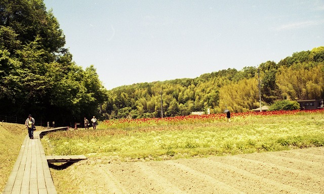 IZM300