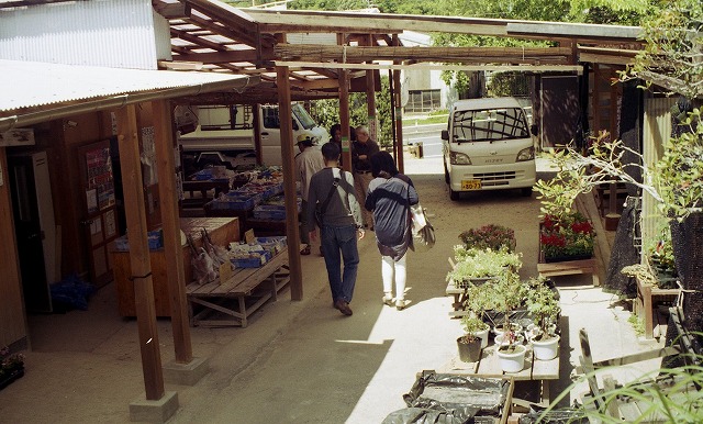 IZM300