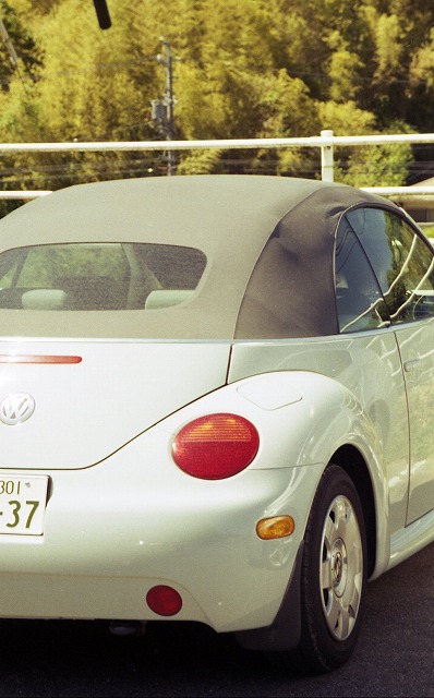 IZM300