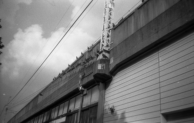 NikonEF100