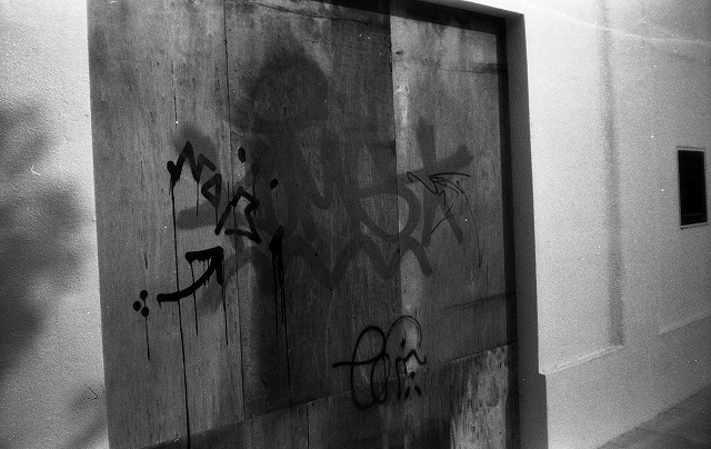 NikonEF100