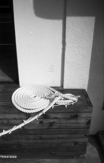 NikonEF100