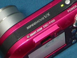 DSC-P100