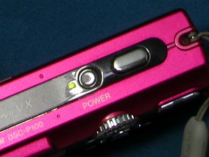 DSC-P100