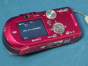 DSC-P100