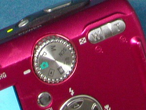 DSC-P100