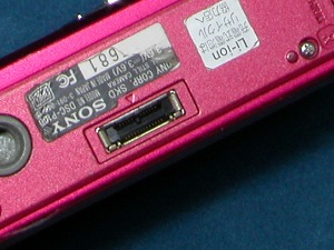 DSC-P100